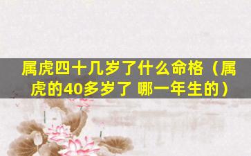 属虎四十几岁了什么命格（属虎的40多岁了 哪一年生的）